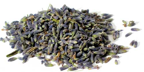 Lavender (Lavandula angustifolia) 1 oz bag