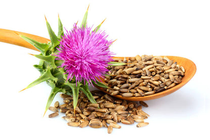 Milk Thistle Seed, Whole (Silybum marianum)