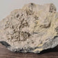 Specimen, Quartz and Pyrite
