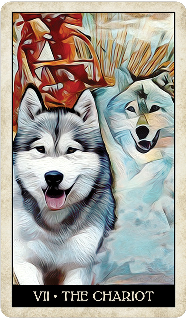 Tarot, Wise Dog Tarot