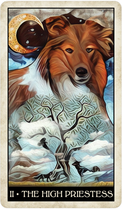 Tarot, Wise Dog Tarot