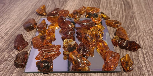 Specimen, Baltic Amber