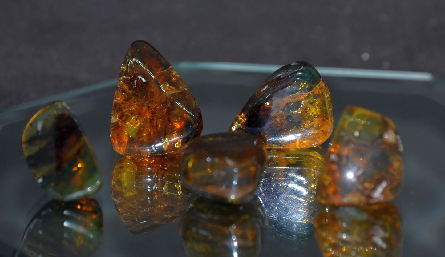 Specimen, Baltic Amber