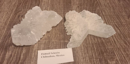 Specimen, Fishtail Selenite