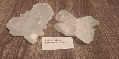 Specimen, Fishtail Selenite