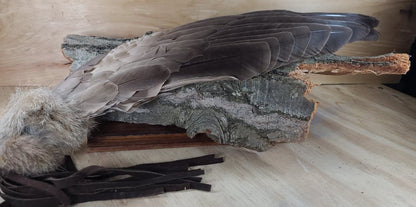 Smudging Fan Goose wing