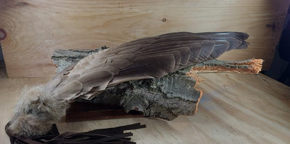 Smudging Fan Goose wing