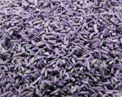 Lavender (Lavandula angustifolia) 1 oz bag