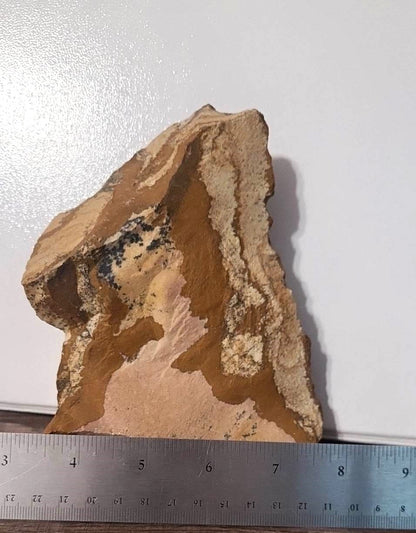 Specimen, Picture Jasper #2.2