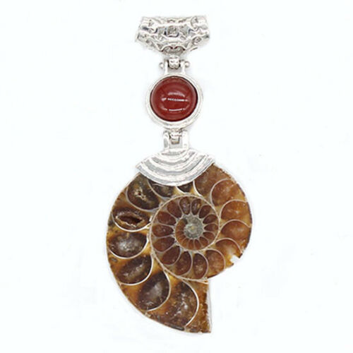 Gemstone Pendant, Ammonite with Carnelian