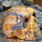 Shaped Skull, 2.5" Petrified wood