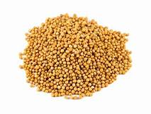 Mustard seed whole  (Brassica juncea)