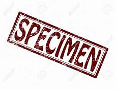 Specimen, Rose Quartz rough large