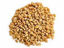 Fenugreek Seed ( Trigonella foenum)